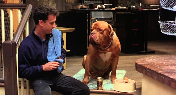 Dogue de Bordeaux,movies, Tom Hanks, Peter Curley,Clint Rowe,Turner and Hooch