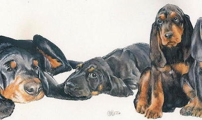 Black and Tan Coonhound,Daniel Boone, raccoon,Davy Crockett,