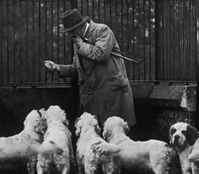 Clumber Spaniel, Aristocrat of the Spaniels,Edward VIII, Edward VII, George V,Sandringham