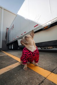 trucker, Covid 19, Coronavirus
