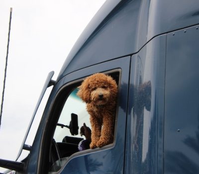 trucker, Covid 19, Coronavirus