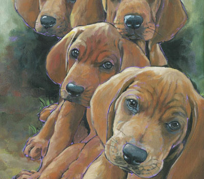 Leon Redbone, Redbone Coonhound,Saddleback,Dickran Gobalian,George Birdsong,Dr. Thomas Henry