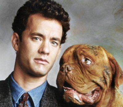 Dogue de Bordeaux,movies, Tom Hanks, Peter Curley,Clint Rowe,Turner and Hooch