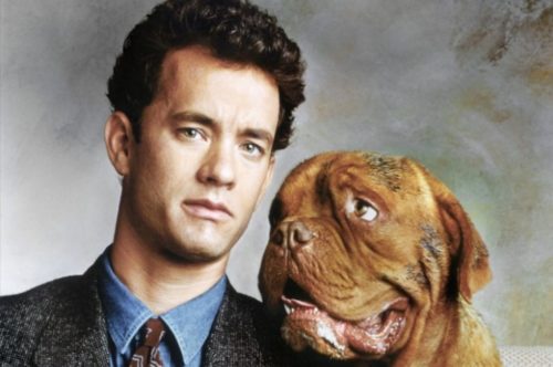 Dogue de Bordeaux,movies, Tom Hanks, Peter Curley,Clint Rowe,Turner and Hooch
