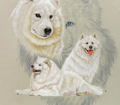 Samoyed,Ernest Kilburn-Scott,Sabarka,Antarctic Buck,Rosalie de Mercy Argenteau,Moustan of Argenteau