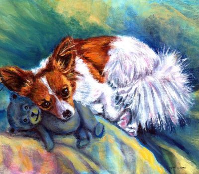 Papillon,Titian, Squirrel Spaniel,Continental Toy Spaniel,dwarf spaniel,Epagneul Nain Continental,Phalène.