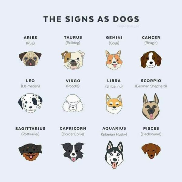 astrology girl dog names
