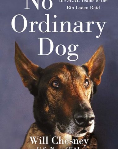 Belgian Malinois, Cairo,Will Chesney,Seal Team Six, Osama bin Laden,war dog,military dog