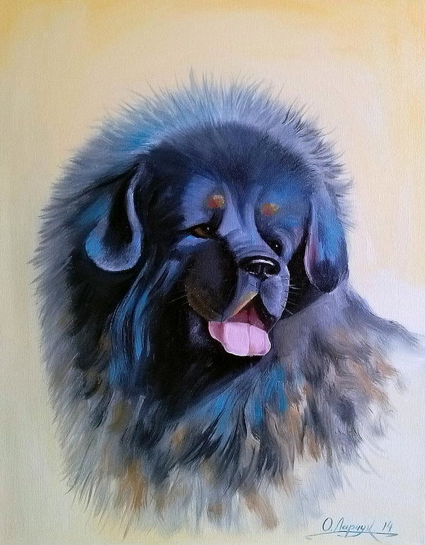 Tibetan Mastiff, Tsang-Khyi,Tibetan Spaniel,Do-Khyi,Simkhyi