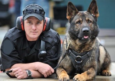 German Shepherd Dog,police dogs,Royal Canadian Mounted Police,Black Lux,Dale of Cawsalta,Sultan