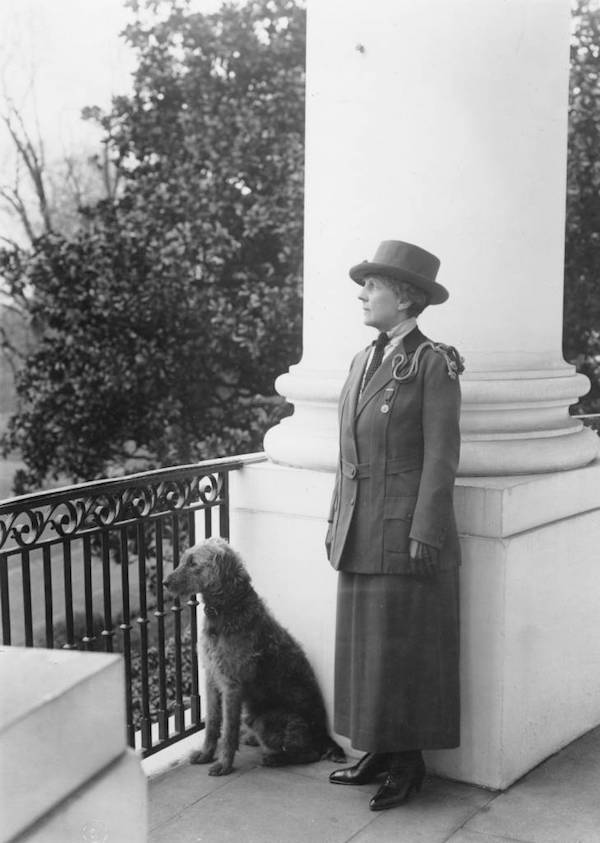Florence Harding, Laddie Boy, Warren Harding, President, Airedale Terrier