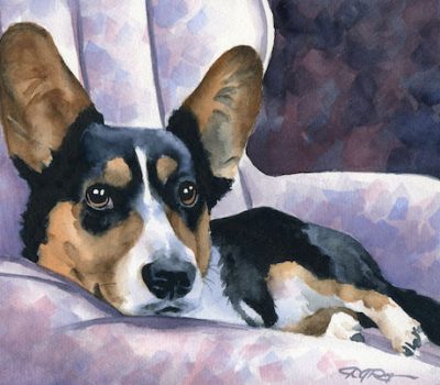 Cardigan Welsh Corgi,Cardiganshire Corgi,Ci Sodli,Ci Llathaid,Bronant Corgi