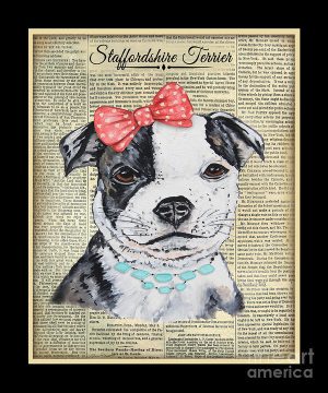 St. Francis Terrier,name,New Yorkie,American Staffordshire Terrier, Stafforshire Bull Terrier, German Shepherd Dog, Alsatian,Dachshund,Liberty Dog, Badger Dog