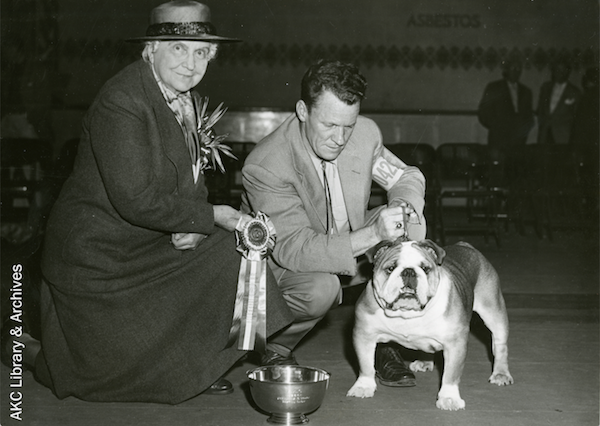 Bulldog, mascot, Best in Show, Westminster Kennel Club, Handsome Dan,Ch. Kippax Fearnought,Sports Illustrated,magazine cover,Ch. Strathtay Prince