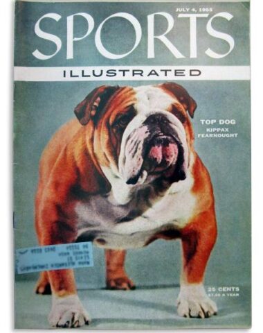 Bulldog, mascot, Best in Show, Westminster Kennel Club, Handsome Dan,Ch. Kippax Fearnought,Sports Illustrated,magazine cover,Ch. Strathtay Prince