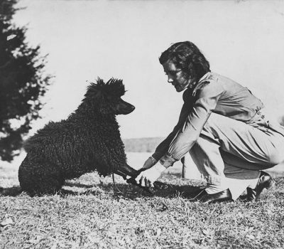 Poodle, Obedience, Helen Whitehouse Walker,Walter Lippmann,Blanche Saunders,Golden Retriever