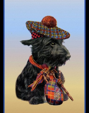 Scottish Terrier, J.B. Morrison,Splinter II,The Badger, Strathbogie,Captain Gordon Murray, Sir Paynton Pigott,