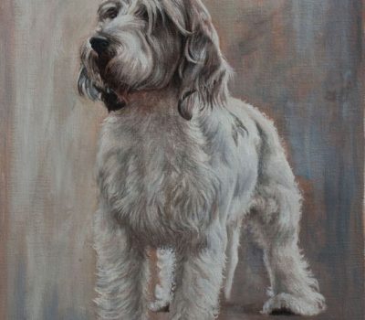 Grand Basset Griffon Vendéen, ears, corkscrew ears