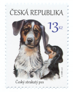 Horák’s Laboratory Dog,Bohemian Spotted Dog,Czech Spotted Dog, František Horák, Cesky Terrier