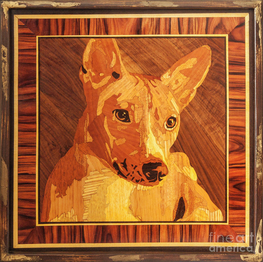 Basenji