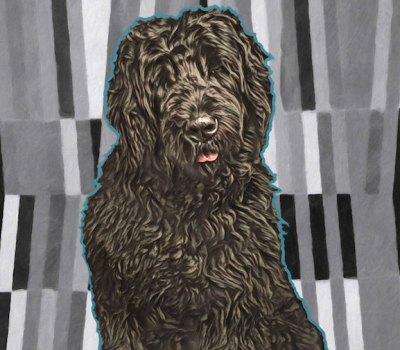 Black Russian Terrier,history,