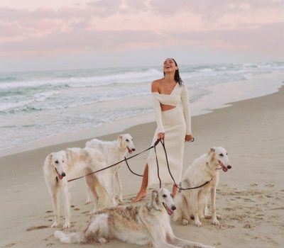 Borzoi, Vanity Fair, Gal Godot,Borzoi in Israel בורזוי בישראל, Russkaya Psovaya Borzaya, Russian Wolfhound