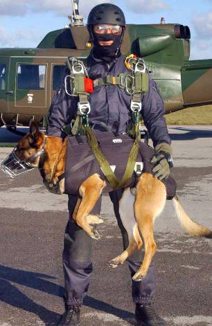 Belgian Malinois, HALO, HAHO,parachute, K9, military dog