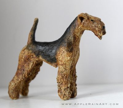 Lakeland Terrier,front,structure