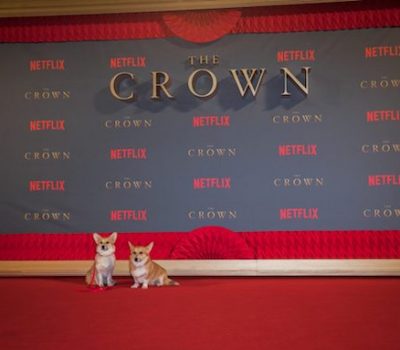 Pembroke Welsh Corgi, TV, The Crown, Dachshund