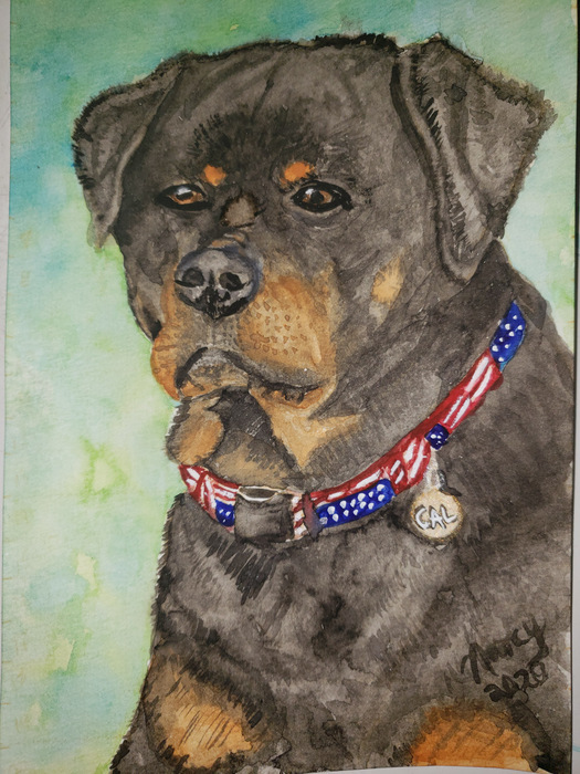 "Cal" - Entry in National Purebred Dog Day Fine Art/Poster ...