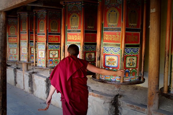 Tibetan Spaniel,monks,prayer wheel, Buddhist, Professor Ludvic von Schulmuth