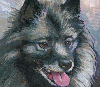 Kees, Keeshond, Yankee, history, mascot, Cornelis De Gyselaer Cornelis De Gyselaer