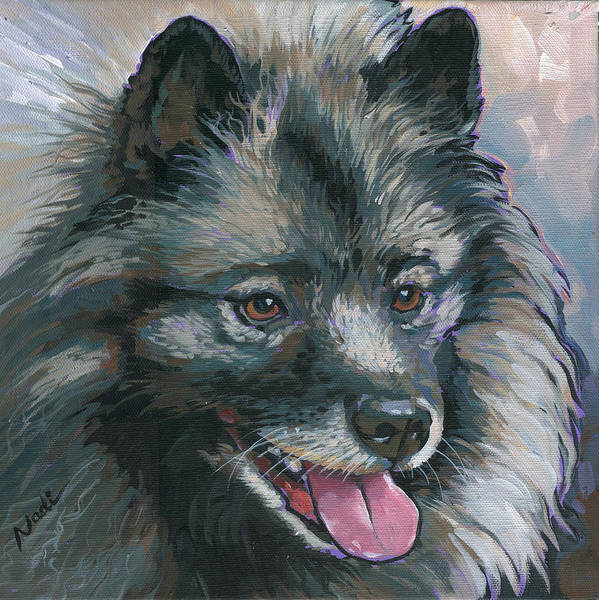 Kees, Keeshond, Yankee, history, mascot, Cornelis De Gyselaer Cornelis De Gyselaer