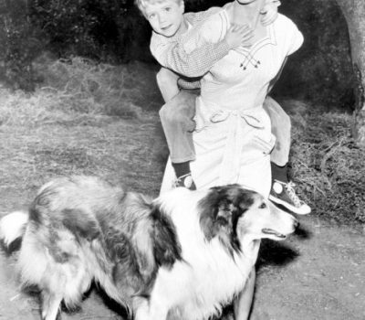 Cloris Leachman, Lassie, John Provost