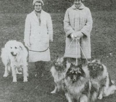 Chiengora, Keeshond,Mrs. Fry, WWII,Liz Kusak