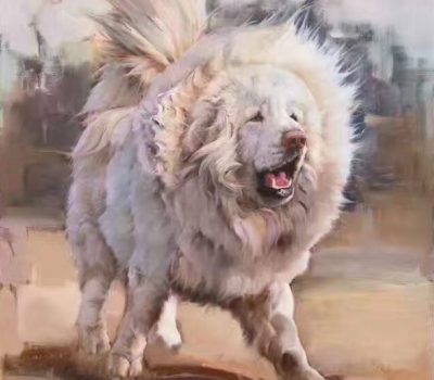 Tibetan Mastiff, Captain Samuel Turner,Dorqu, Zhoqoi, Zhago, Lhawo, Biqoi,name