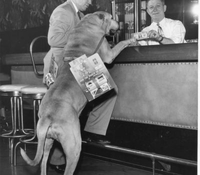 Great Dane, Harry Truman, March of Dimes