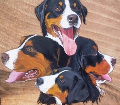 Sennenhunde,Bernese Mountain Dog,Appenzeller Mountain Dog, Entlebucher Mountain Dog, Greater Swiss Mountain Dog, Albert Heim