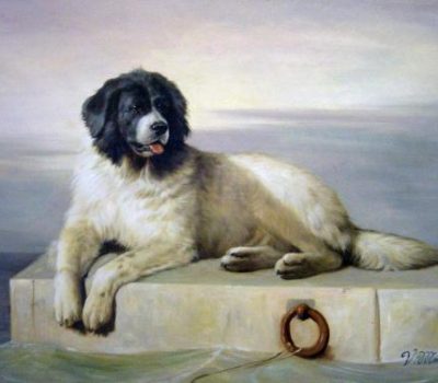 Sir Edwin Landseer, Newfoundland,European Continental Type, Landseer