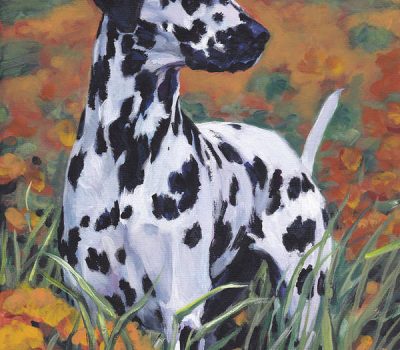 Dalmatian, genetics,coat,English Coach Dog, Carriage Dog, Plum Pudding Dog, FireHouse Dog, Spotted Dick