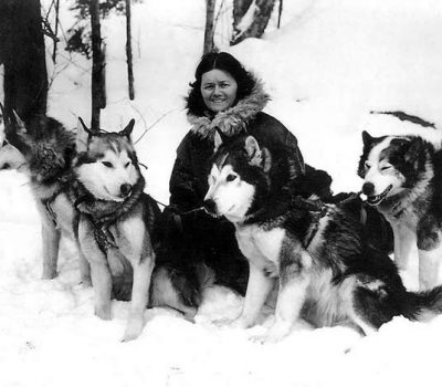 Kotzebue Line, Alaskan Malamute, Milton and Eva Seeley, Arthur Treadwell Walden, Leonhard Seppala,Rowdy of Nome,Gripp of Yukon,YukonJad