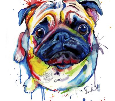 size, standard, head, bone, paws,massive,head