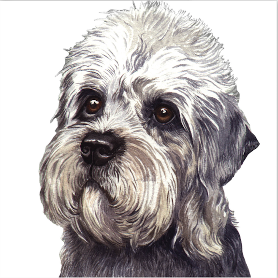 Dandie Dinmont Terrier, Francis Sommer, James Allan,Willie "Piper" Allan