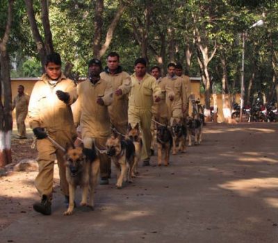 India, German Shepherd Dog,Mr. H. Triefflich,Captain P. Banerjee,Wildlife Protection Society of India