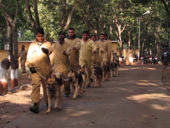 India, German Shepherd Dog,Mr. H. Triefflich,Captain P. Banerjee,Wildlife Protection Society of India