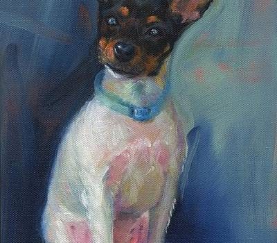 Toy Fox Terrier, history