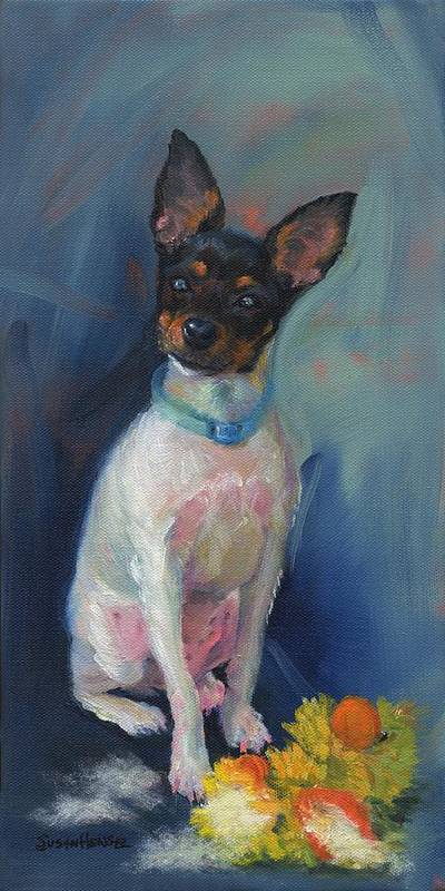Toy Fox Terrier, history