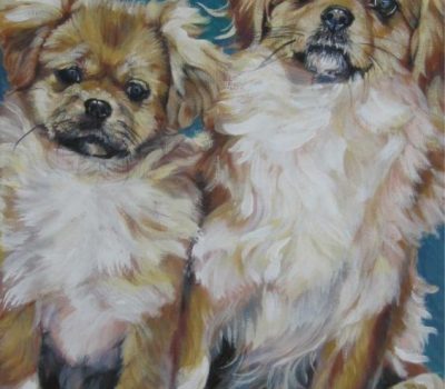 Tibetan Spaniel,Leo Kearns, M.C. Hourihane, Amcross Kennels, Jim Pence, Doghouse Dream Baby, English Ch. Yakrose Chiala of Amcross 