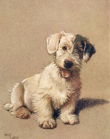 Sealyham Terrier, Ch. St. Bride's Demon,Peer Gynt,Nellie the Mariners, Mr. and Mrs. Victor Higgon, Captain Jack H.Howell, Adrian Howell,