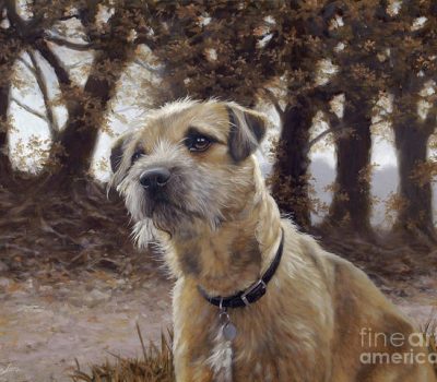 Border Terrier, Brian Seymour Vesey-Fitzgerald, peat bog, moss hole